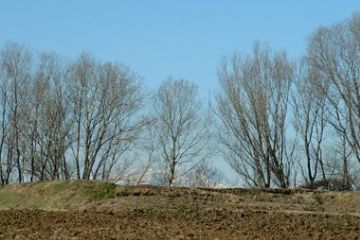 Granozzo con Monticello - Campagna
